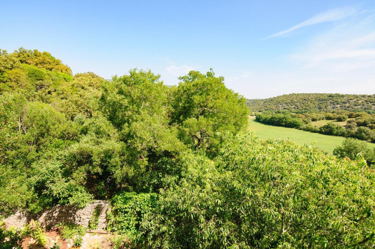 Chateau Le Villarel Brissac Esterno foto